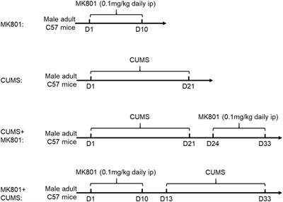 Rethinking Schizophrenia and Depression Comorbidity as One Psychiatric Disorder Entity: Evidence From Mouse Model